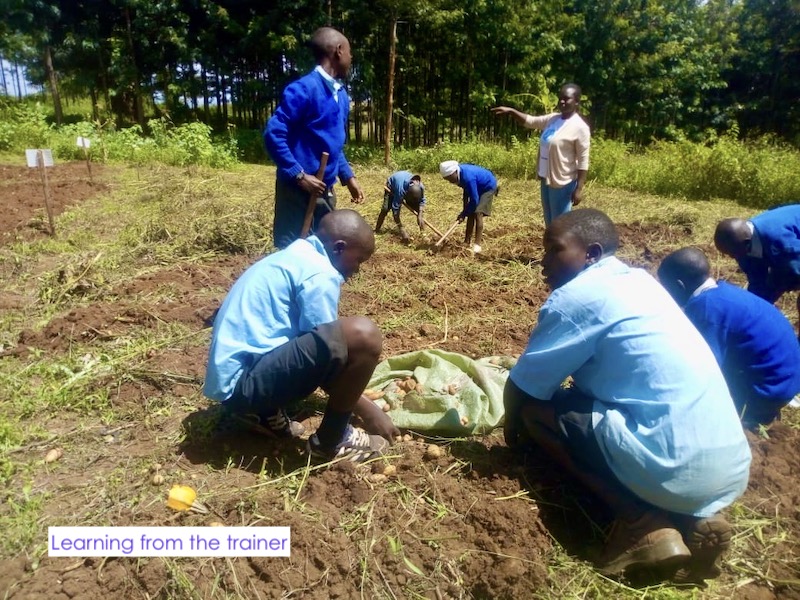 Soil health increases crop yields
